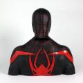 bst00007 2
