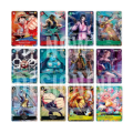onepc-slpr0010 2