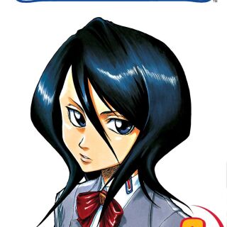 Manga - Bleach Vol. 02