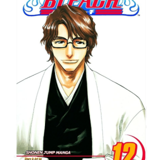 Manga - Bleach Vol. 12