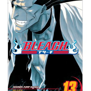 Manga - Bleach Vol. 13