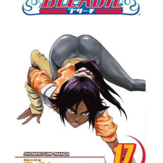 Manga - Bleach Vol. 17