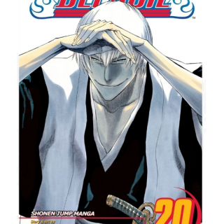 Manga - Bleach Vol. 20