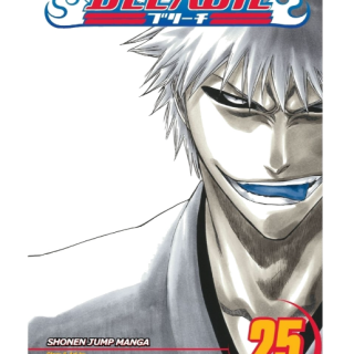 Manga - Bleach Vol. 25