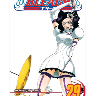 Manga - Bleach Vol. 29