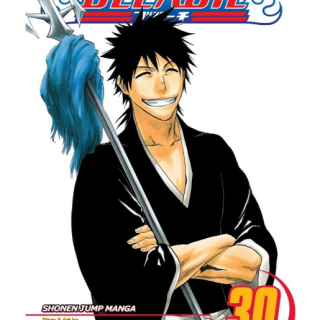 Manga - Bleach Vol. 30