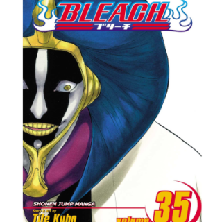 Manga - Bleach Vol. 35