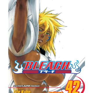 Manga - Bleach Vol. 42