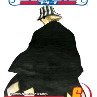 Manga - Bleach Vol. 06