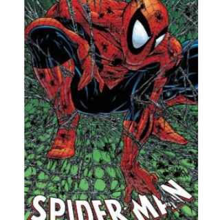 Comic Book - Marvel - Spider-Man - The Complete Edition