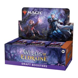 MtG TCG - Draft Booster Box - Wilds of Eldraine