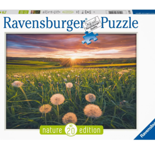 Ravensburger Puzzle - Dandelions in the Sunset 500pcs