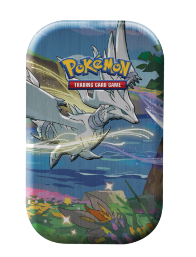 pkmn-tins00001 0
